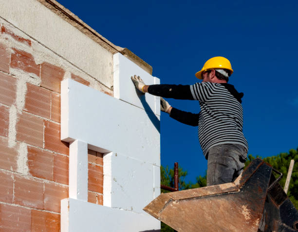 Best Eco-Friendly Insulation in Wesleyville, PA