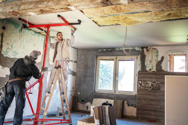 Best Insulation Maintenance and Repair in Wesleyville, PA